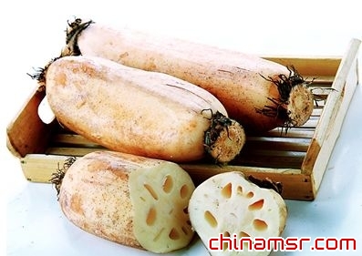 女子三日不断藕 男子三日不离姜