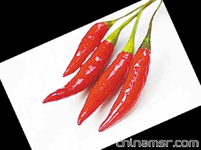 红辣椒比青椒降脂