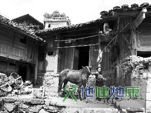 贵州血浆站激减背后（2）