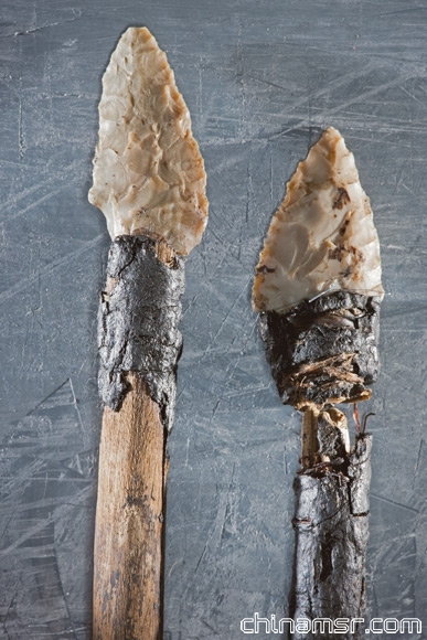 涉嫌参与非法器官移植手术的麻醉师被警方留下观察“卖肾者”。