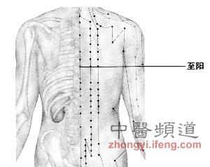 用手按压至阳穴可缓解心绞痛