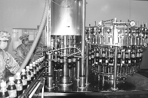 本报记者 武文静报道