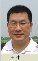王伟