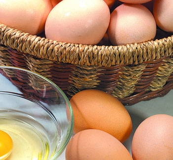 鸡蛋的营养价值