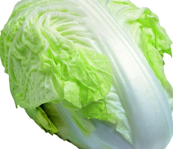 白菜