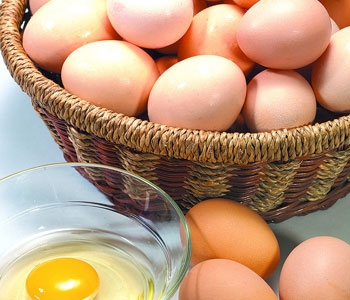 鸡蛋