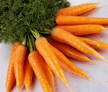 胡萝卜