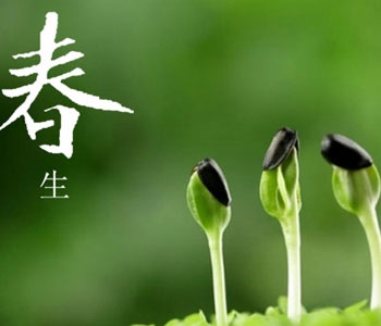 春季养生分南北 养肝三原则