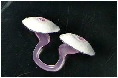 交警发微薄晒“隐性口罩”