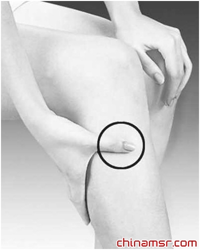 捏脊揉脐擦腹按足三里健脾胃