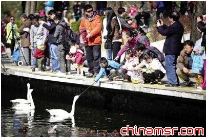 北京严禁活禽进入市场