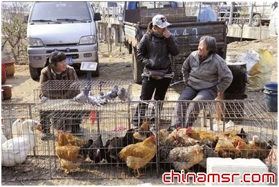 上海4岁感染H7N9男童康复