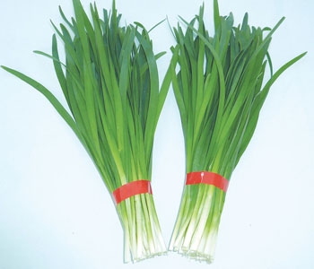 男人必吃14大壮阳食物