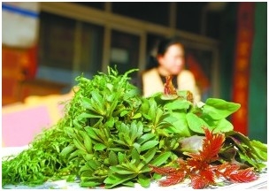 路边野菜中三种重金属超标