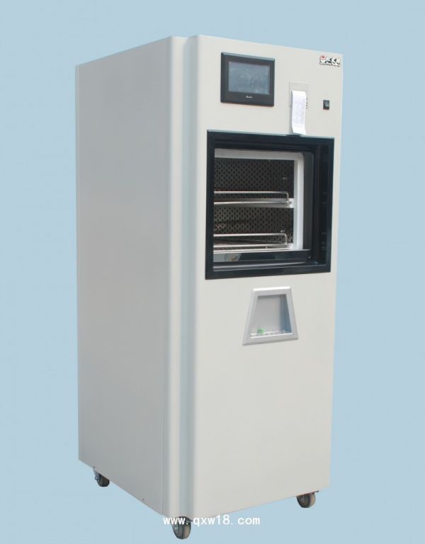 过氧化氢低温等离子体灭菌器