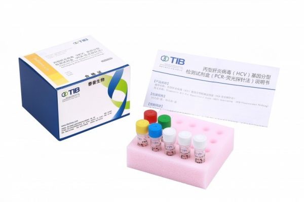 丙型肝炎病毒基因分型检测试剂盒