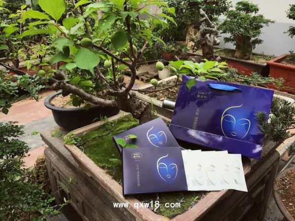 天然植物靓肤焕彩面膜