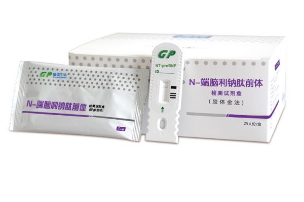 n端脑利钠肽前体检测试剂盒