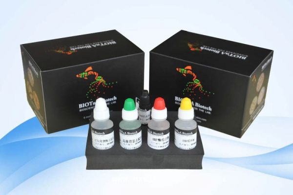 免疫组化(双染)试剂套组(聚合物法)