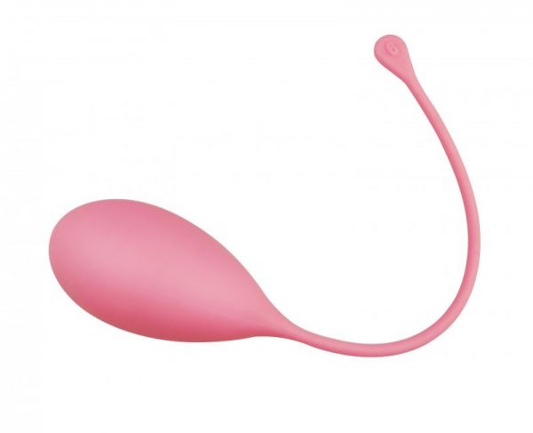 盆底肌肉康复器(阴道哑铃)