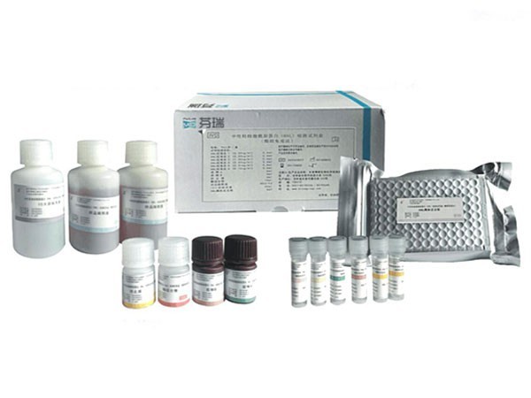 中性粒细胞载脂蛋白(HNL)