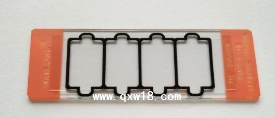 一次性精子计数板