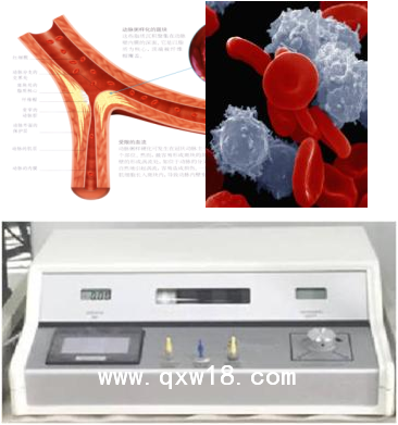 高能活氧免疫治疗系统