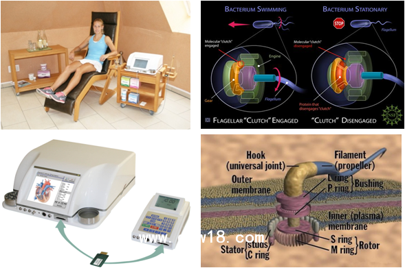 线粒体治疗系统