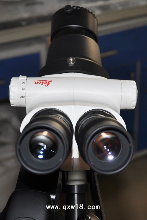 光电一体阴道镜