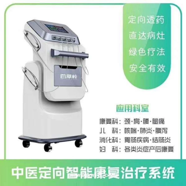 中医定向透药离子导入仪