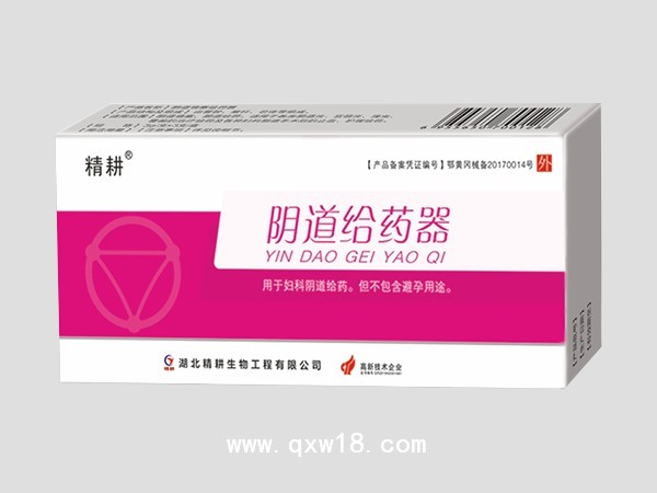 阴道给药器