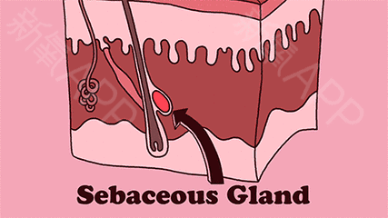 微信图片_20190828171514