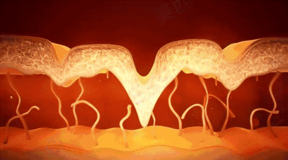 微信图片_20190829103317