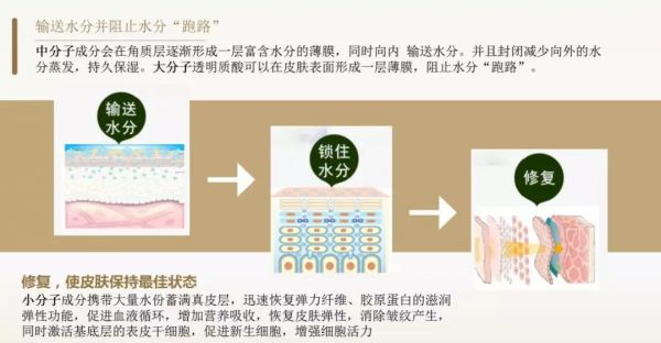 微信图片_20190829103336