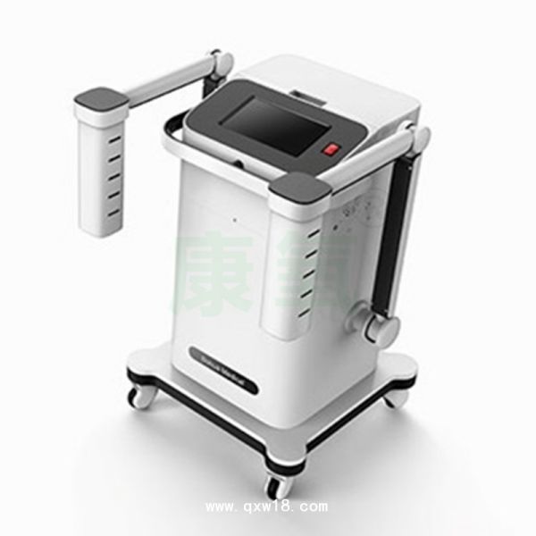 熏蒸治疗仪BHX-J双通道