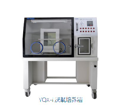 厌氧培养箱