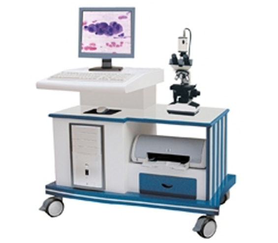 医学影像处理系统