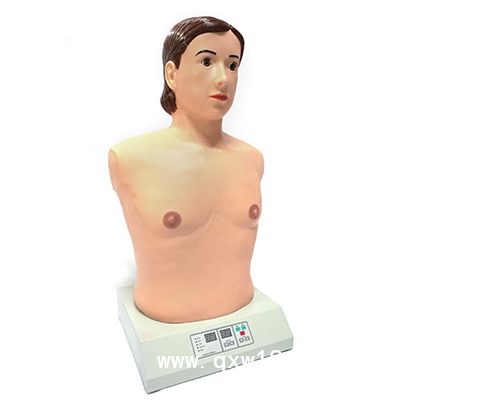 心肺电脑模拟器