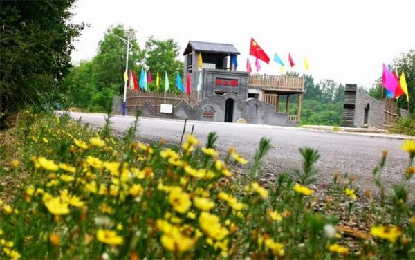 图片九_调整大小